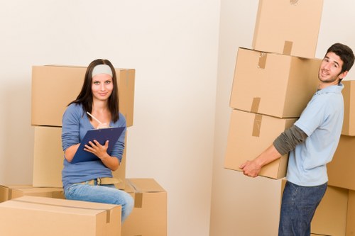 Professional movers carrying furniture during a local move in Mazehill